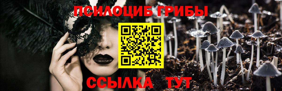 Галлюциногенные грибы мухоморы  Галлюциногенные грибы Cubensis  Губкинский  Вход с VPN 